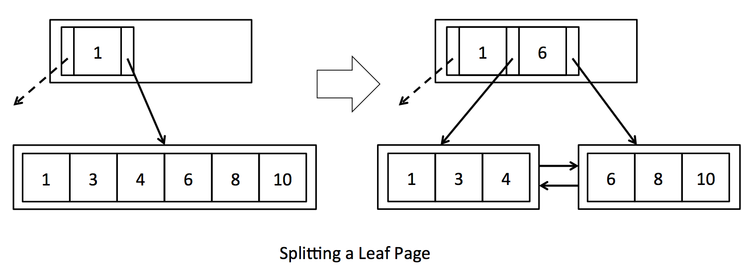 splitting_leaf /MIT-6.830-lab5-SimpleDB-BTree-Index/splitting_leaf.png