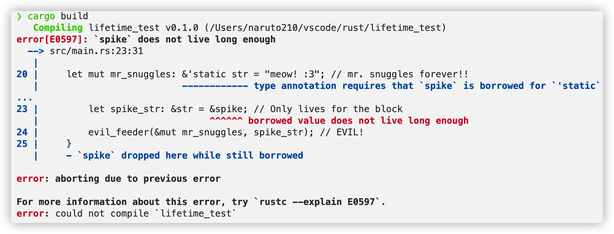 image-20210408013314451 /rust-lifetime-variance/image-20210408013314451.png